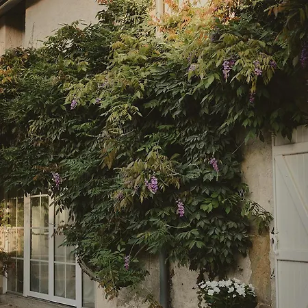 Domaine De Bassibe 塞格思