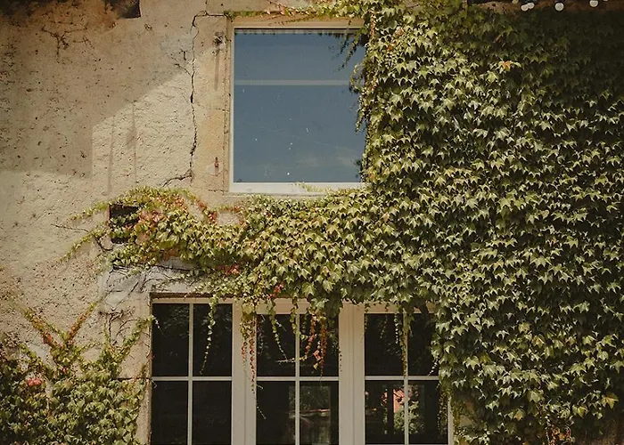 Bed & Breakfast Domaine De Bassibé