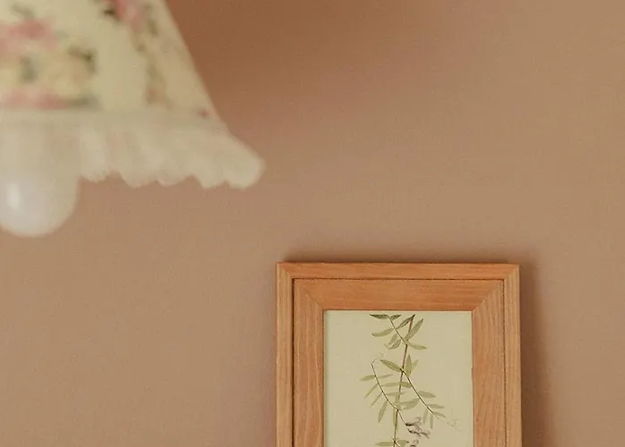 Bed & Breakfast Domaine De Bassibé 3*