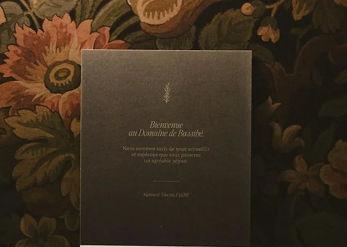 Domaine De Bassibé Bed & Breakfast Ségos