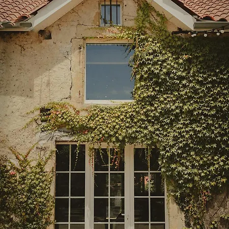 Bed & Breakfast Domaine De Bassibe