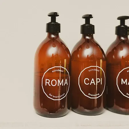 Domaine De Bassibe 3* Ségos