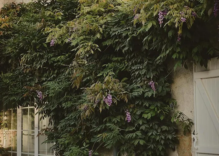 Domaine De Bassibe Ségos