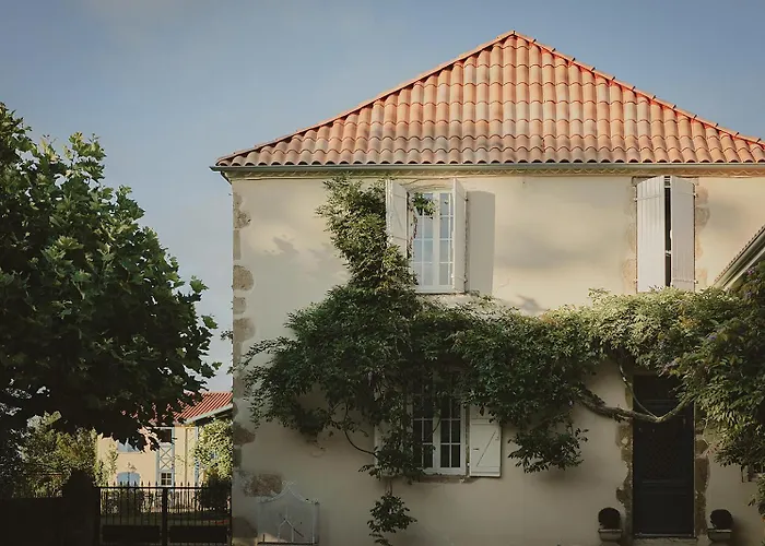 ベッド・アンド・ブレックファスト Domaine De Bassibe