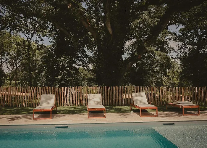 Domaine De Bassibe Frühstückspension